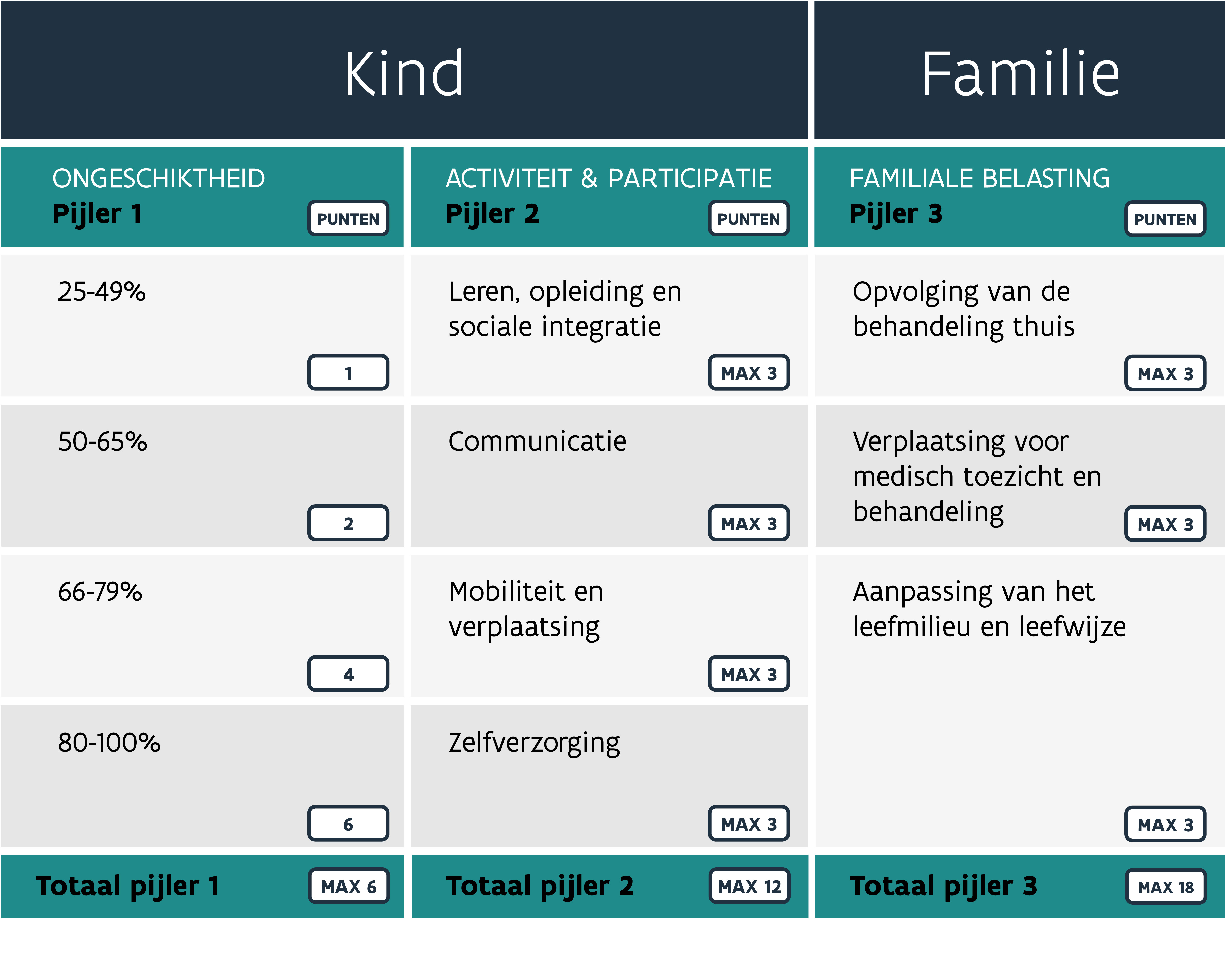 De medisch-sociale schaal met informatie over de verschillende pijlers van kind en familie