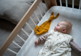 baby slaapt in slaapzak met knuffeldoekje