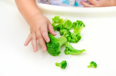 brocolli, stukjes, voeding