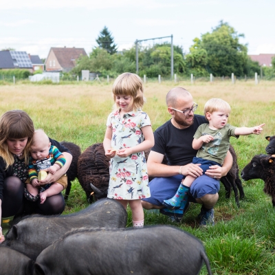 Gezin met 3 jonge kinderen in weide met schapen en varkens