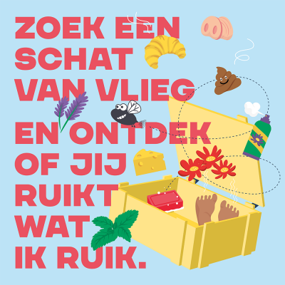 Schatten van Vlieg: Zoek een schat van vlieg en ontdek of jij ruikt wat ik ruik