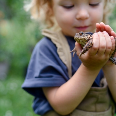 Jong meisje houdt in haar handen een pad/kikker vast in de natuur, kleuter helpt met paddenoverzet
