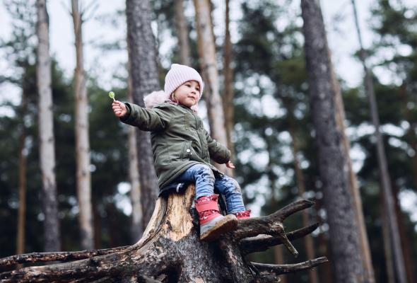 Kind speelt in het bos