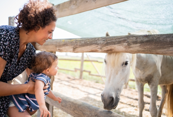 Paard, kind met mama