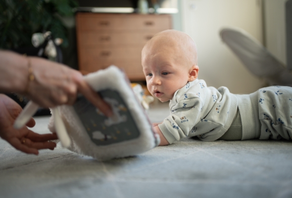 taal ontwikkeling baby voorlezen boek