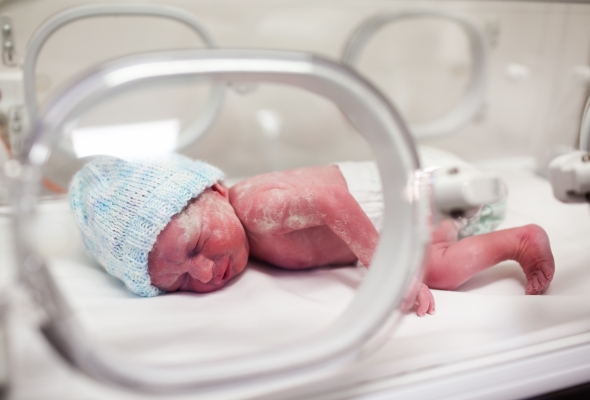 premature baby in couveuse